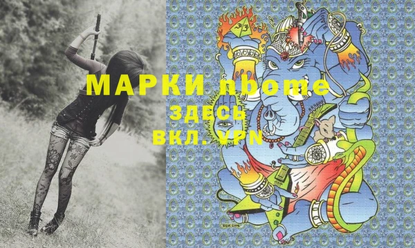 хмурый Алексин